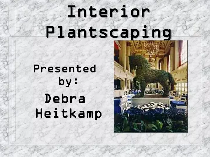 interior plantscaping