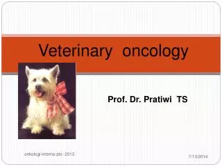 Prof. Dr. Pratiwi TS