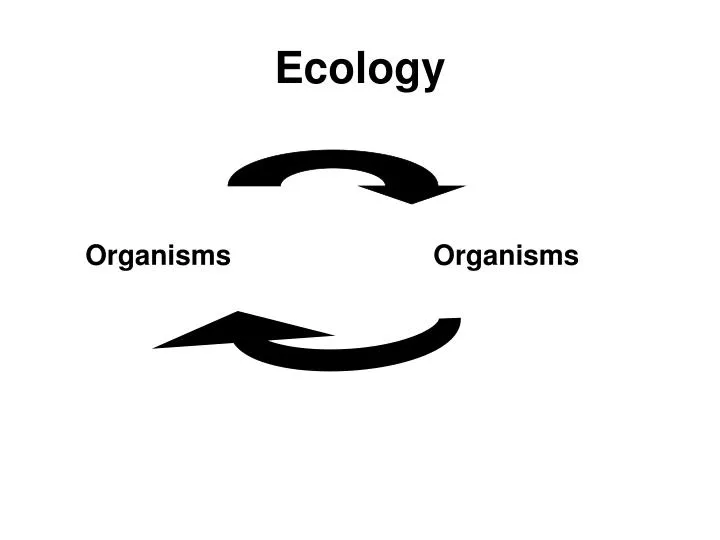 ecology