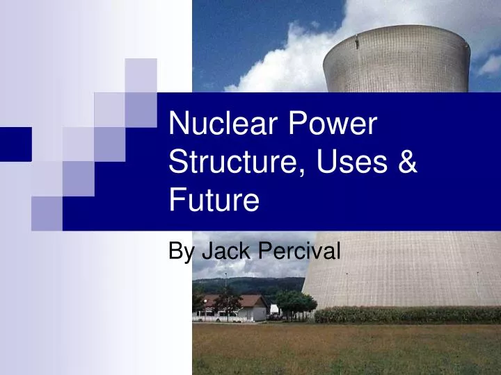 nuclear power structure uses future