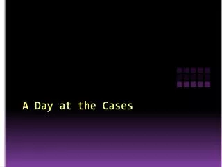 A Day at the Cases