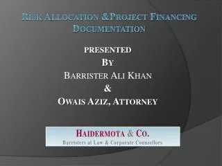 Risk Allocation &amp;Project Financing Documentation