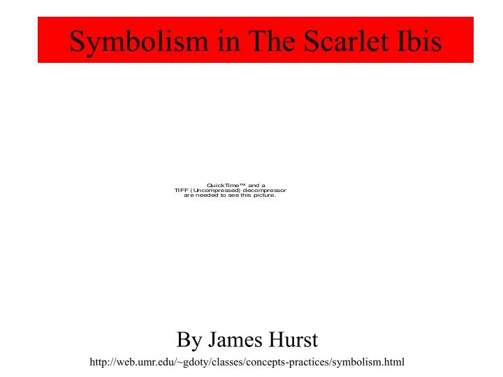 symbolism in the scarlet ibis