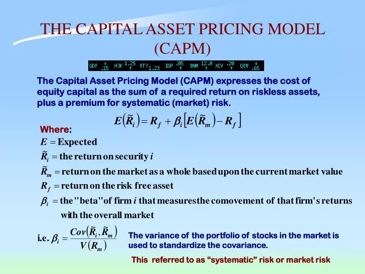 the capital asset pricing model capm