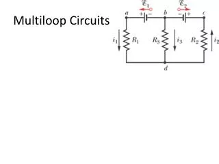 Multiloop Circuits