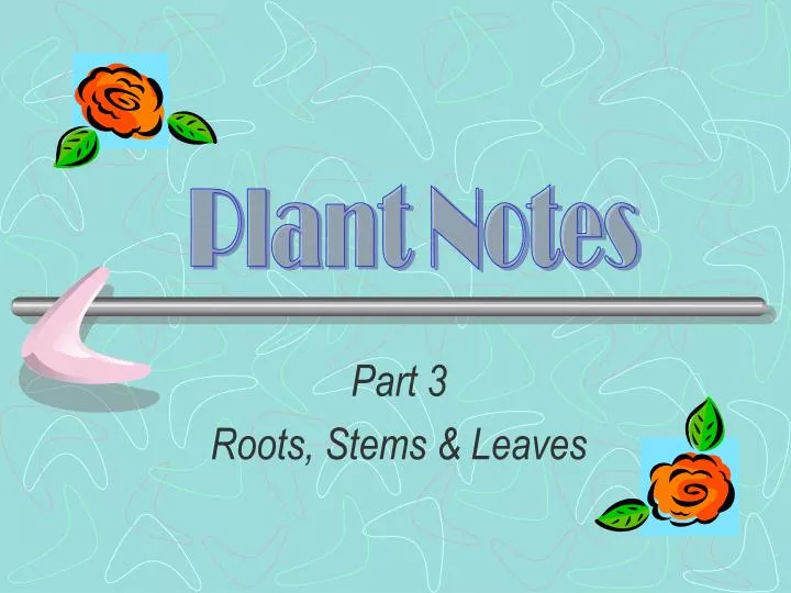 part 3 roots stems leaves