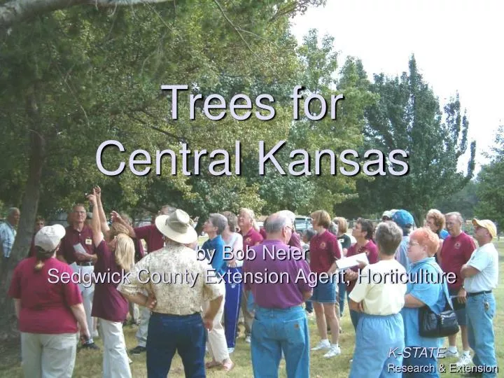 trees for central kansas by bob neier sedgwick county extension agent horticulture