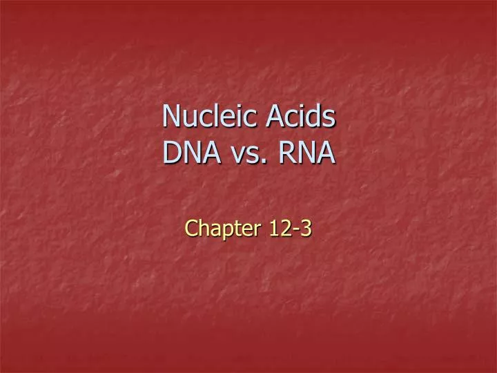 nucleic acids dna vs rna