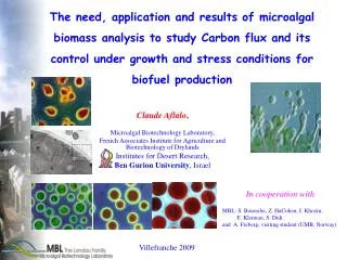 Claude Aflalo , Microalgal Biotechnology Laboratory, French Associates Institute for Agriculture and Biotechnology of D