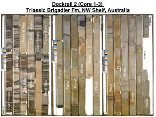 Dockrell 2 (Core 1-3) Triassic Brigadier Fm, NW Shelf, Australia