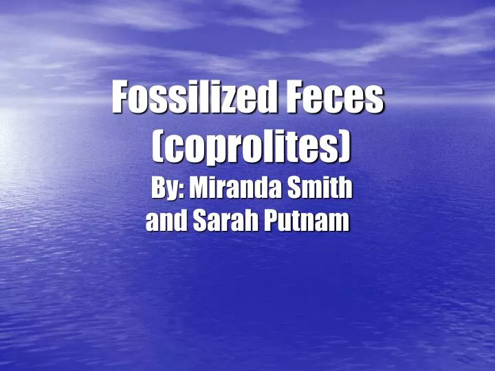 fossilized feces coprolites by miranda smith and sarah putnam