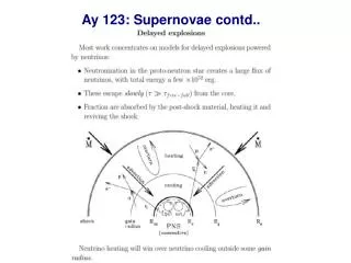 Ay 123: Supernovae contd..