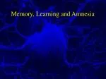 Memory, Learning and Amnesia - slide 1