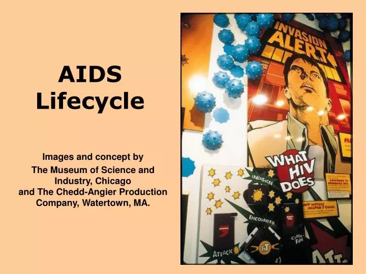 aids lifecycle