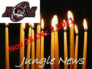 Jungle News