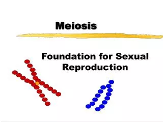 Meiosis