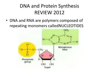 DNA and Protein Synthesis REVIEW 2012