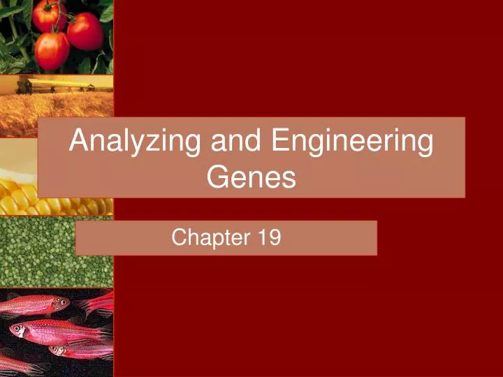 analyzing and engineering genes