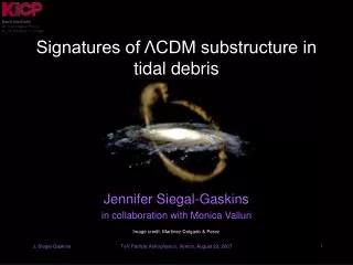 Signatures of ΛCDM substructure in tidal debris