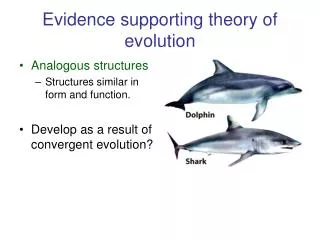 Evidence supporting theory of evolution