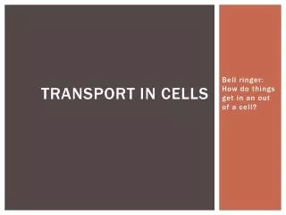 Transport in cells