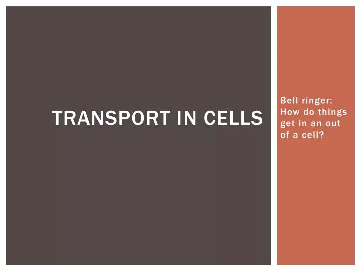 transport in cells