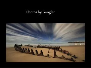 Photos by Gangler