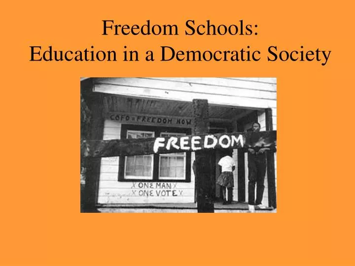 freedom schools education in a democratic society
