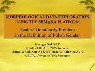 MORPHOLOGICAL DATA EXPLORATION USING THE SEMANA PLATFORM Feature Granularity Problem in the Definition of Polish Gender