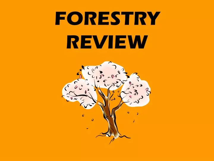 forestry review
