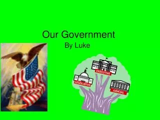Our Government
