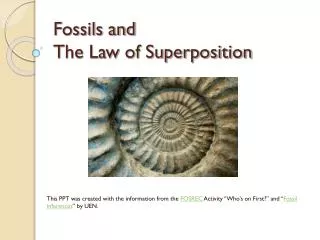 fossils and the law of superposition