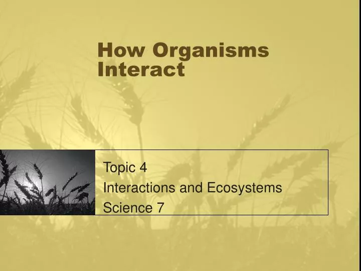 how organisms interact