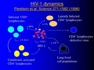 HIV-1 dynamics Perelson et.al. Science 271:1582 (1996)