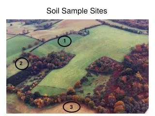 Soil Sample Sites