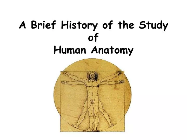 a brief history of the study of human anatomy