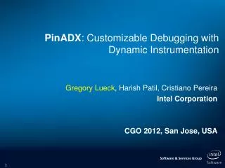 PinADX : Customizable Debugging with Dynamic Instrumentation