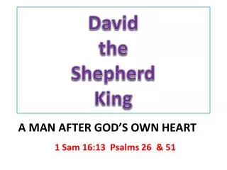 David the Shepherd King