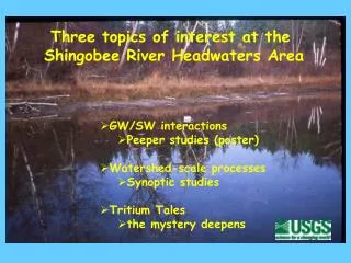 Three topics of interest at the Shingobee River Headwaters Area