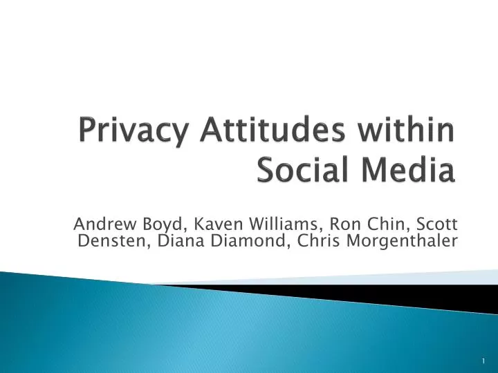 privacy attitudes within social media