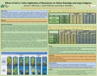 Effects of Soil vs. Foliar Application of Mesotrione on Yellow Nutsedge and Large Crabgrass