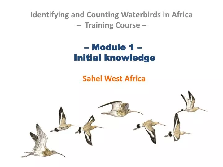 module 1 initial knowledge sahel west africa