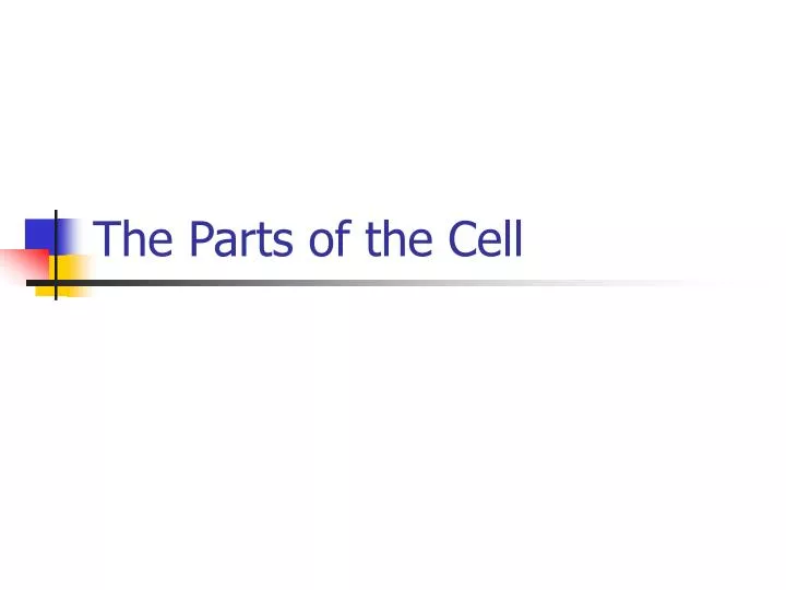 the parts of the cell