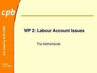 WP 2: Labour Account Issues