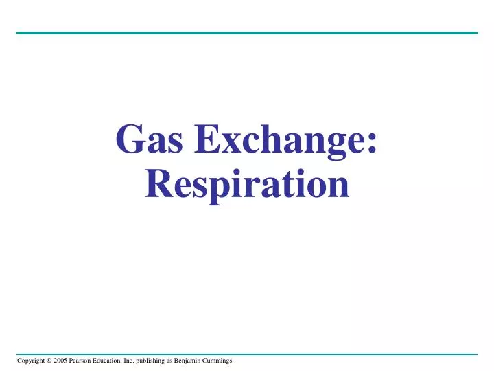 gas exchange respiration