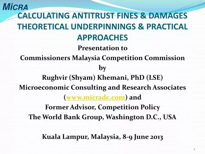 calculating antitrust fines damages theoretical underpinnings practical approaches