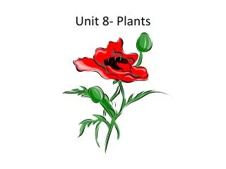 Unit 8- Plants