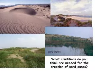 What conditions do you think are needed for the creation of sand dunes?