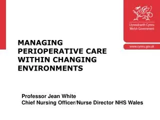 Professor Jean White Chief Nursing Officer/Nurse Director NHS Wales