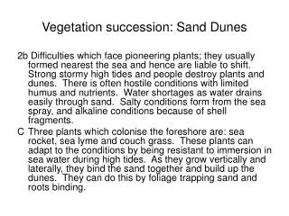 Vegetation succession: Sand Dunes